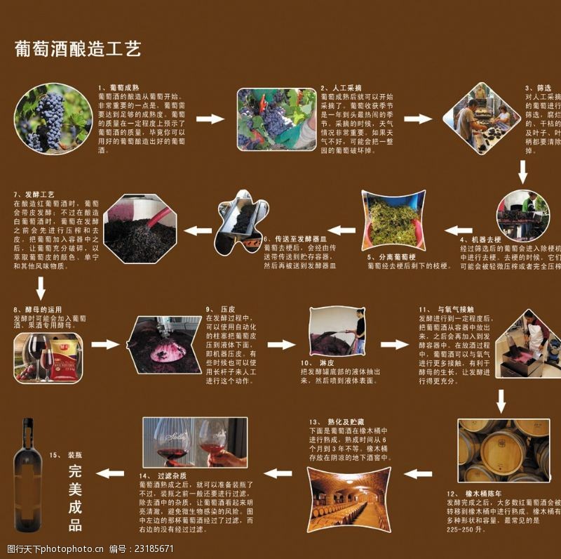 葡萄酒工艺流程图
