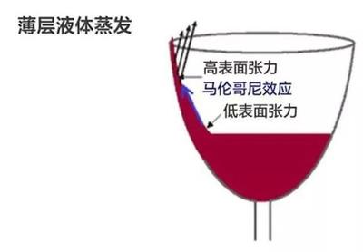 葡萄酒挂杯(酒泪)形成原理常识