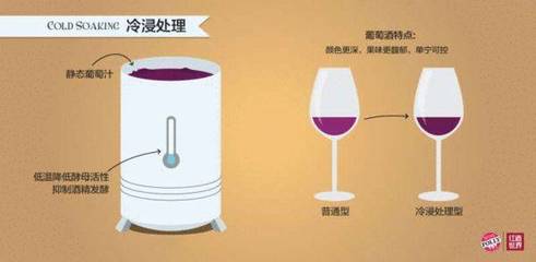 山葡萄酒发酵（耐寒酵母 / 低温发酵）工艺