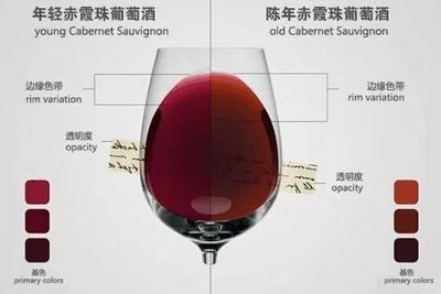 从颜色判断葡萄酒年份（年轻紫红 / 年老砖红）的盲品常识
