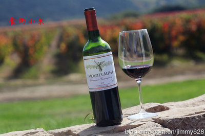 蒙特斯欧法酒庄(Montes Alpha)