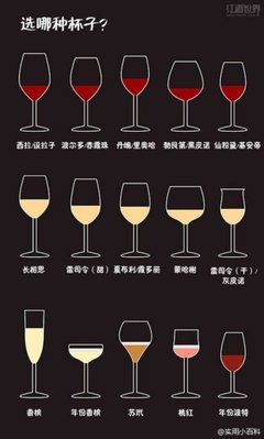 葡萄酒年份(年份差异对酒质影响)基础常识
