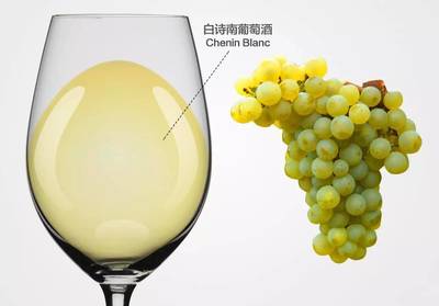 白葡萄酒品味时关注酸度与果香融合度的常识